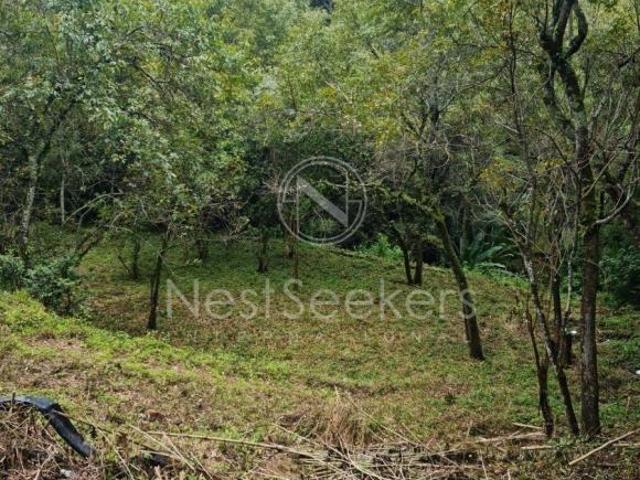Terreno en Venta con Excelente Ubicación
