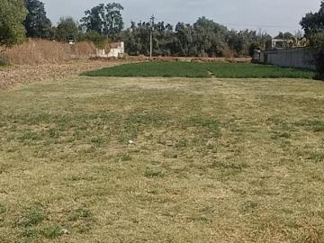 TERRENO EN VENTA CON GRAN EXTENSIÓN COMUNIDAD SAN JORGE TEZOQUIPAN. TLAXCALA