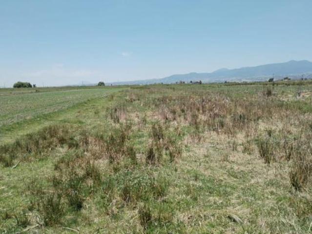 TERRENO EN VENTA CON POTENCIAL INDUSTRIAL Y LOGÍSTICO EN SAN NICOLÁS PERALTA, LERMA