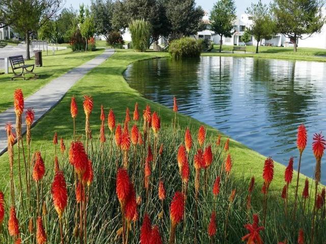 TERRENO EN VENTA CONDADO DEL VALLE SECCI?N VILLA LAGO