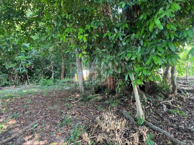 Terreno en Venta Congregacion Banderas, Tuxpan, Ver