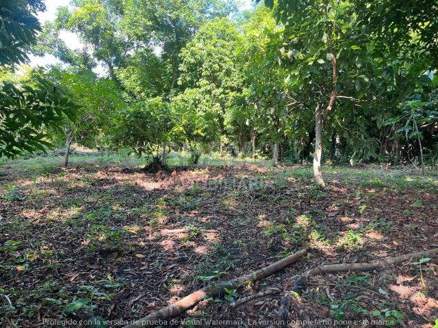 Terreno en Venta Congregacion Banderas, Tuxpan, Ver