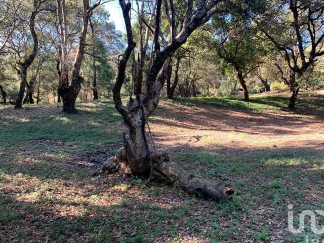 TERRENO EN VENTA, CONJUNTO BOSQUES, TEPOZTLÁN, MORELOS