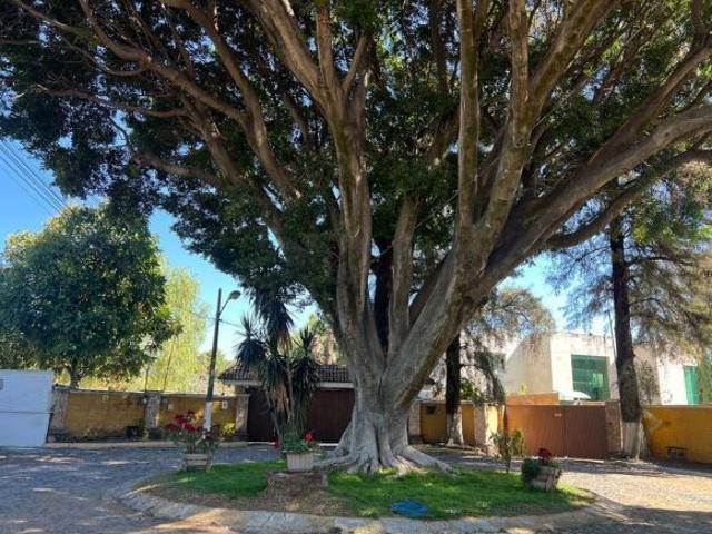 TERRENO EN VENTA COTO LOS PINOS BUGAMBILIAS