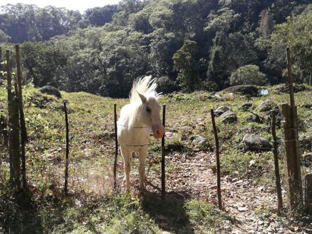TERRENO EN VENTA CRUZANDO EL RIO