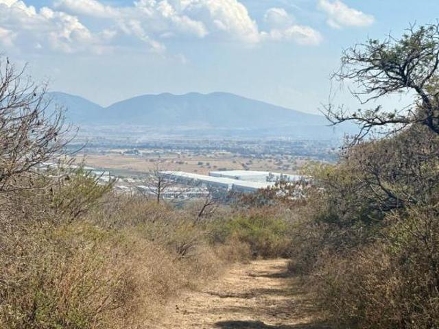 Terreno de 5000 m² en venta en Balcones de La Calera también ENTRADA por carretera a Chapala