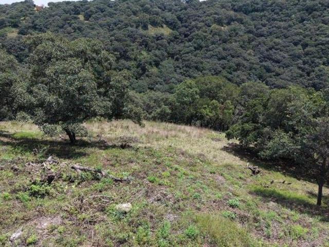 Terreno en Venta de terreno en Fracc. Residencial Campestre, Lt. 124, Villa del Carbón