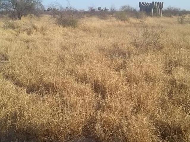 TERRENO EN VENTA DE 15.5 HECTÁREAS CON VÍA FF.CC. SALINAS VICTORIA NUEVO LEÓN