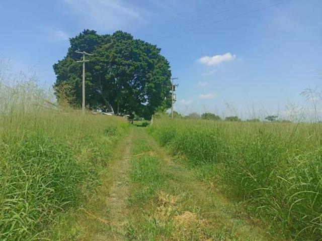 Terreno en venta de 10 hectáreas frente a Liverpool en Celaya