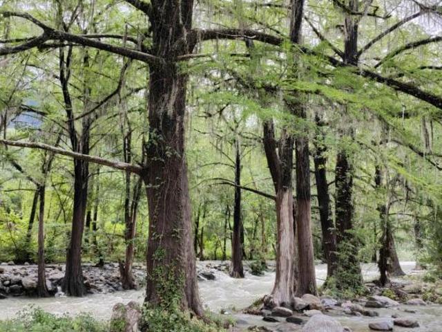 Terreno en venta de 1166 metros Fraccionamiento Campestre Altares Allende Nuevo León