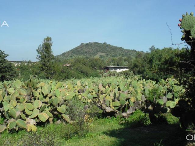Terreno en Venta de 24,000 m? | San Mart?n de las Pir?mides | Estado de M?xico