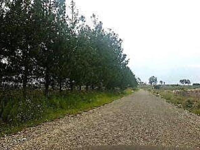 Terreno en Venta de 288 Hect?reas