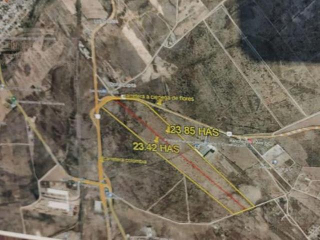 Terreno en venta de 23.48 hectáreas industrial Salinas Victoria