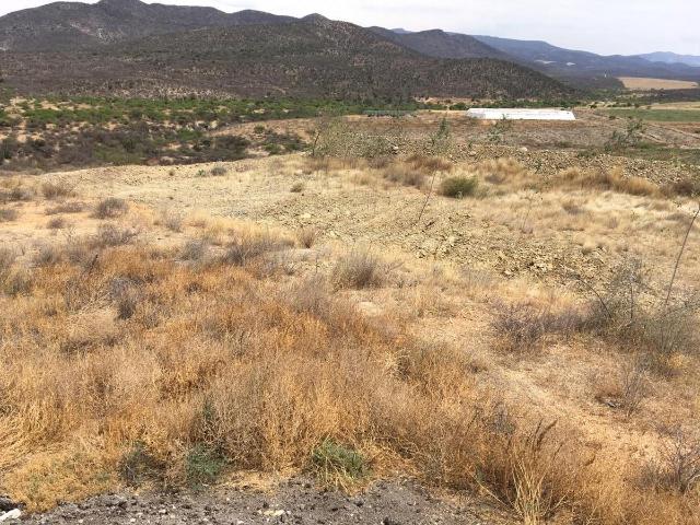 Terreno en Venta de 38 Hect?reas con escritura en San Pablo, Toliman