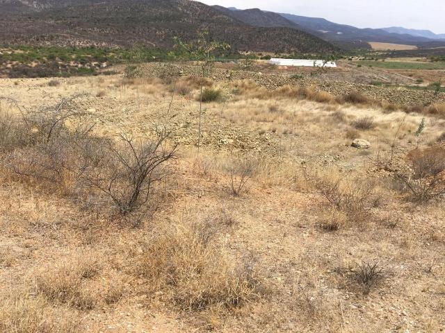 Terreno en Venta de 38 Hect?reas con escritura en San Pablo, Toliman