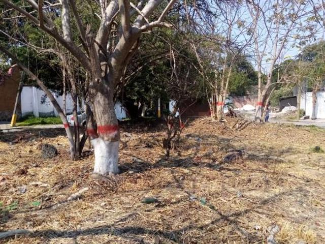 Terreno en venta de 497 m² en esquina en Las Fincas vigilancia 24 horas