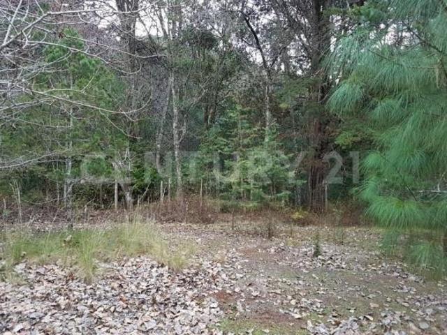 Terreno en venta de 5,000 m2