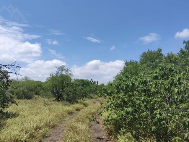 Terreno en venta de 62 hect?reas uso industrial Cadereyta nuevo Le?n