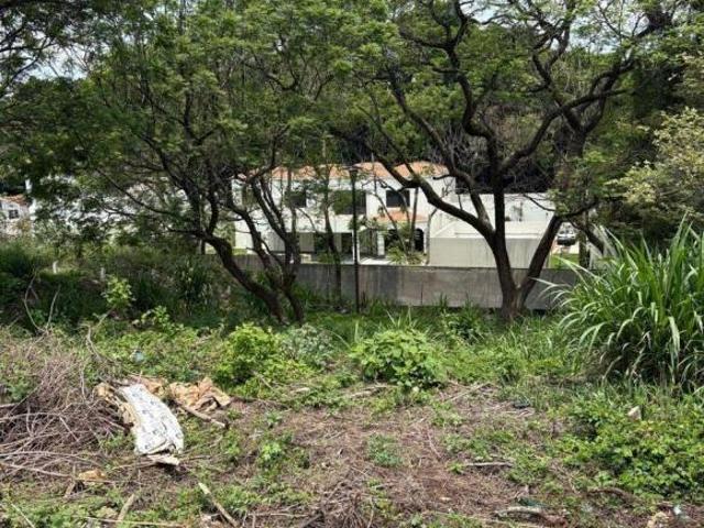 Terreno en Venta de 800 m² en fraccionamiento