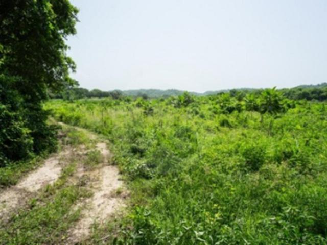 Terreno en Venta de 94 ha y 400 m de playa en Huatulco