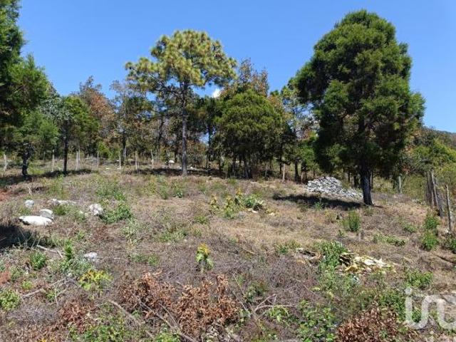 Terreno en Venta de 900 m2 enTeopisca Chiapas