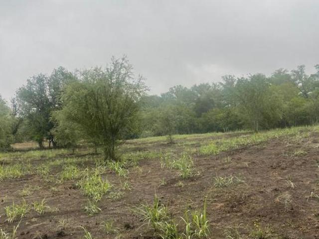 Terreno en venta de 9 Hectareas campestre San Antonio Allende Nuevo León