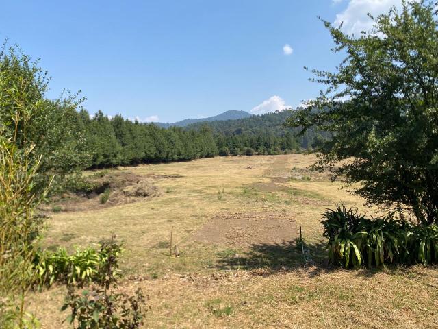 Terreno en Venta desarrollo Monarca