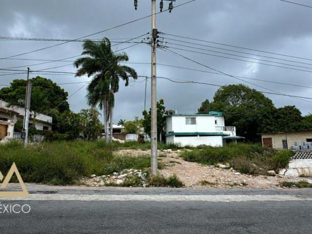 TERRENO EN VENTA EUCALIPTO ALTAVISTA