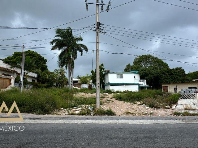 TERRENO EN VENTA EUCALIPTO ALTAVISTA