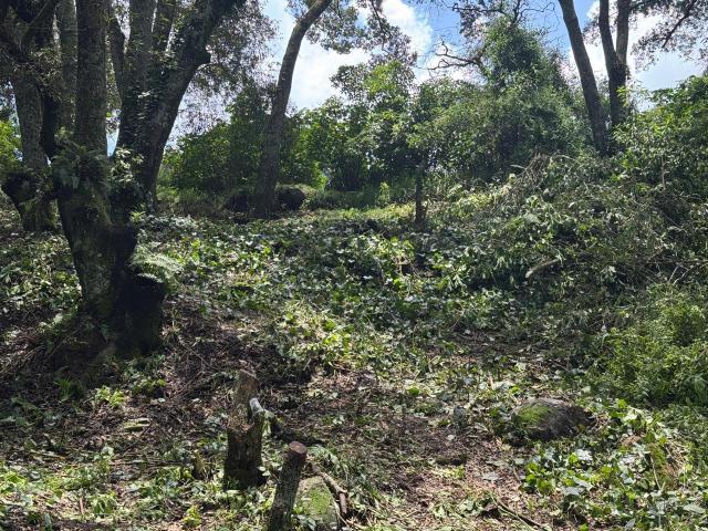 Terreno en venta Eucaliptos 8