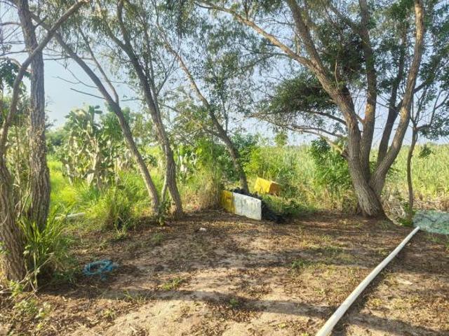 TERRENO EN VENTA EJIDO EL CONTADERO