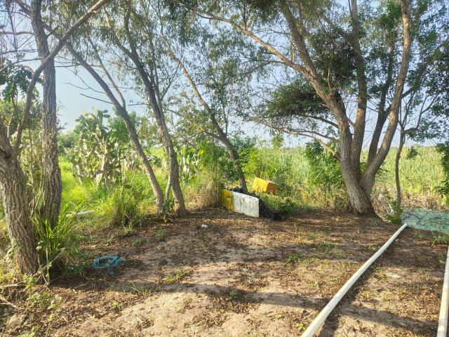 TERRENO EN VENTA EJIDO EL CONTADERO