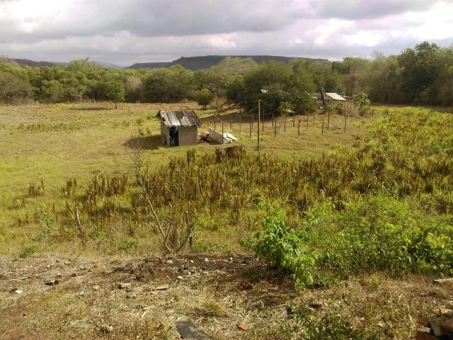 Terreno en Venta, Ejido el Paisajito, Aldama Tamaulipas