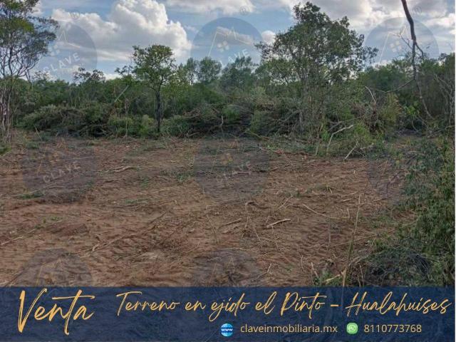 Terreno en venta, ejido El Pinto Hualahuises