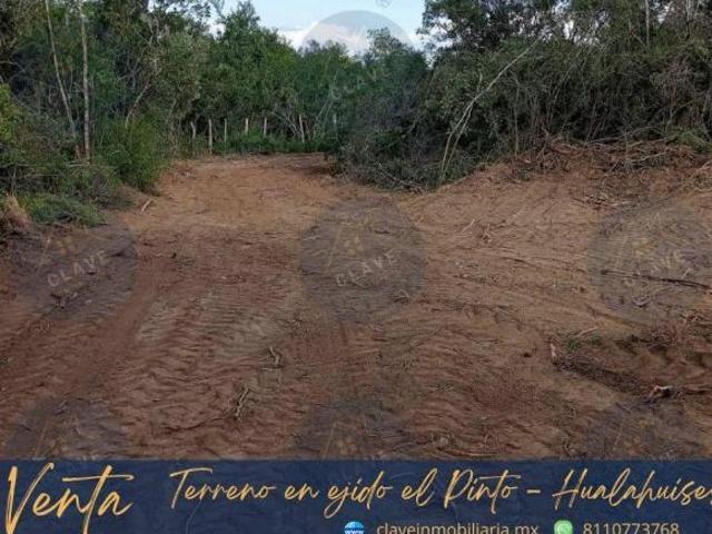Terreno en venta, ejido El Pinto Hualahuises