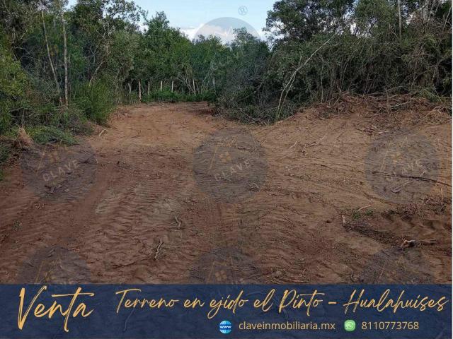 Terreno en venta, ejido El Pinto Hualahuises