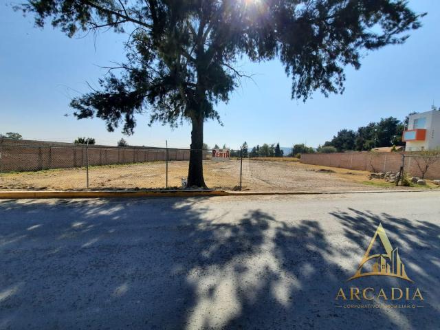 TERRENO EN VENTA EJIDO TERESA