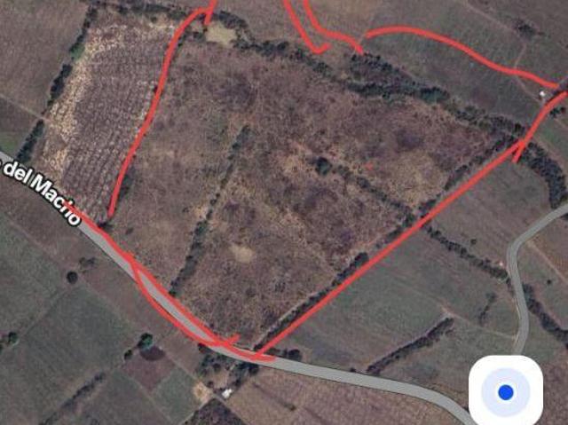 TERRENO EN VENTA EL MULATO PASO DEL MACHO, VER