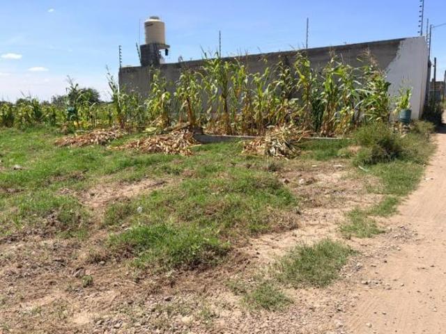TERRENO EN VENTA EL ARENAL, IRAPUATO GTO