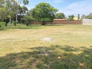 Terreno En Venta El Carmen Norte León Guanajuato
