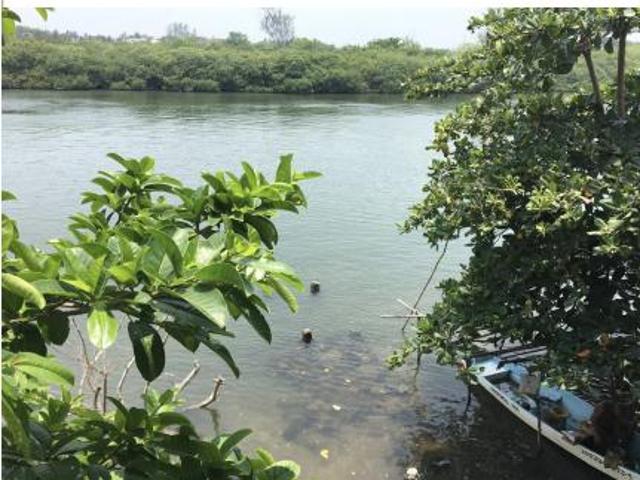 Terreno en venta El Conchal, Alvarado Veracruz