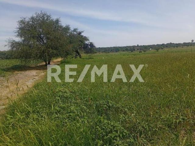 Terreno en Venta El Jaral