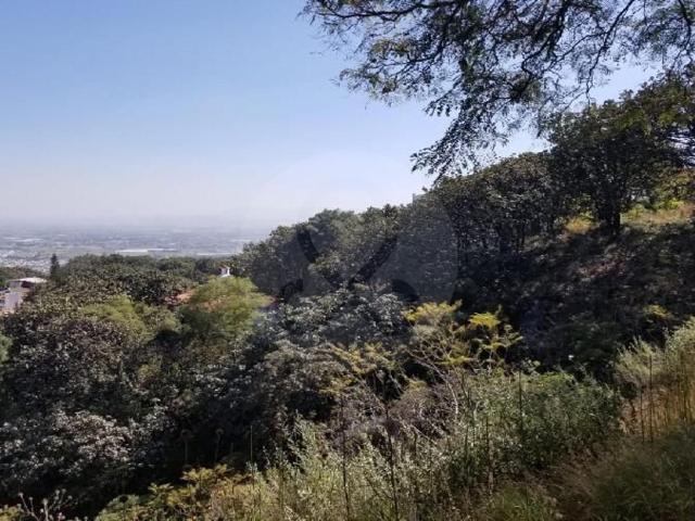 TERRENO EN VENTA EL PALOMAR TLAJOMULCO