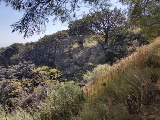 TERRENO EN VENTA EL PALOMAR TLAJOMULCO