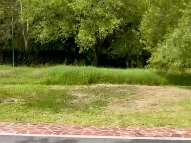TERRENO EN VENTA, EL URO CARRETERA NACIONAL