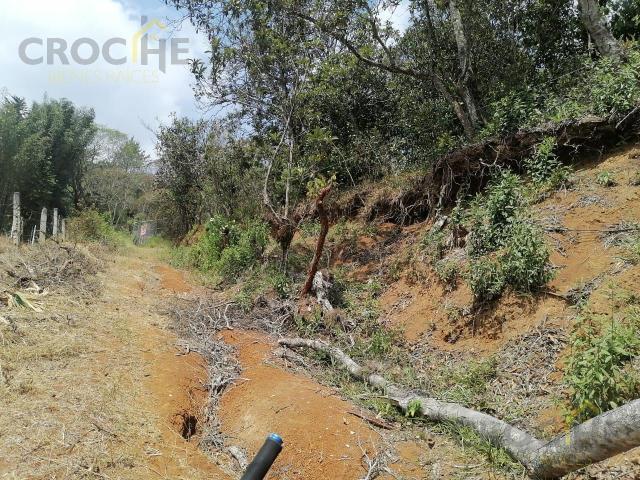 Terreno en venta en M?rtires de Chicago Xalapa Veracruz