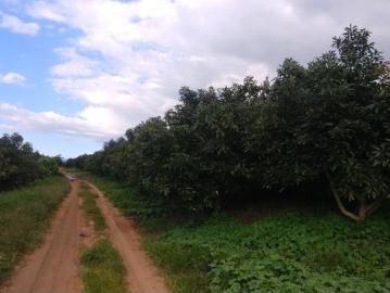 Terreno en venta en Magaña, Guadalajara, Jalisco