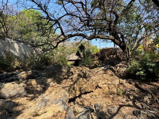 TERRENO EN VENTA EN MALINALCO