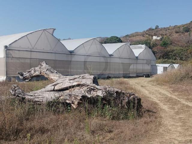 Terreno en Venta en Malinalco