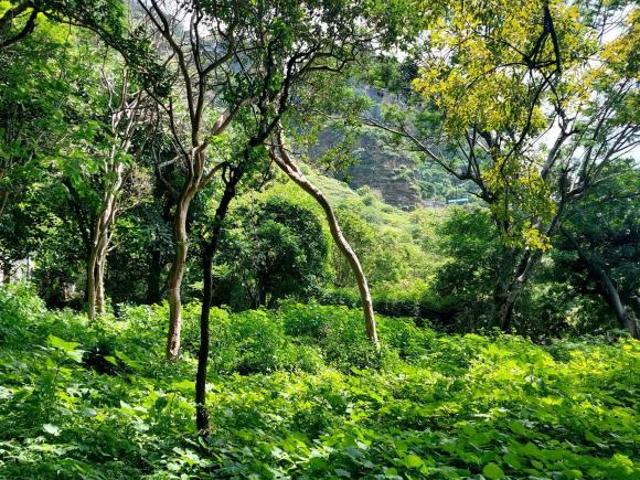 Terreno en venta en Malinalco